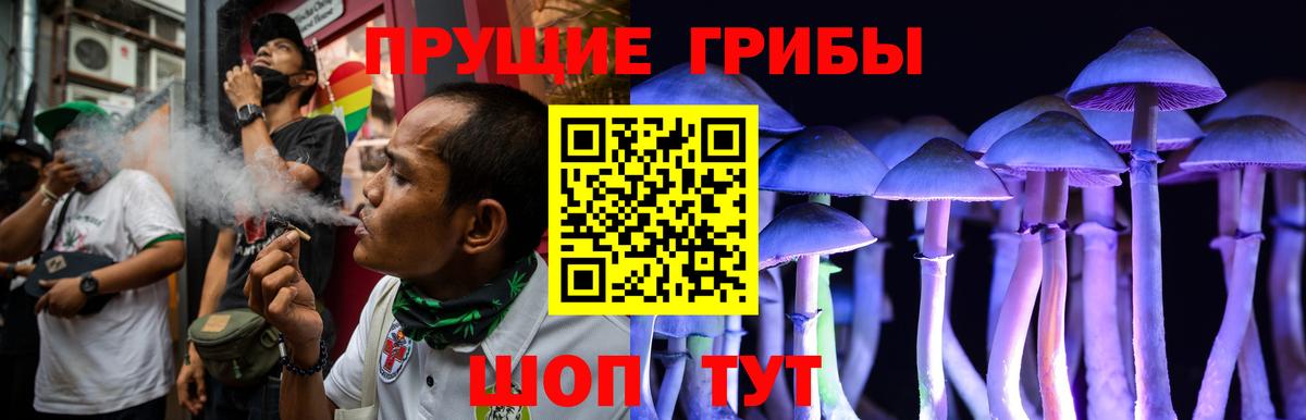 магазин продажи наркотиков  Галлюциногенные грибы Psilocybe  Вход с VPN  Галлюциногенные грибы мухоморы  Нефтекамск 